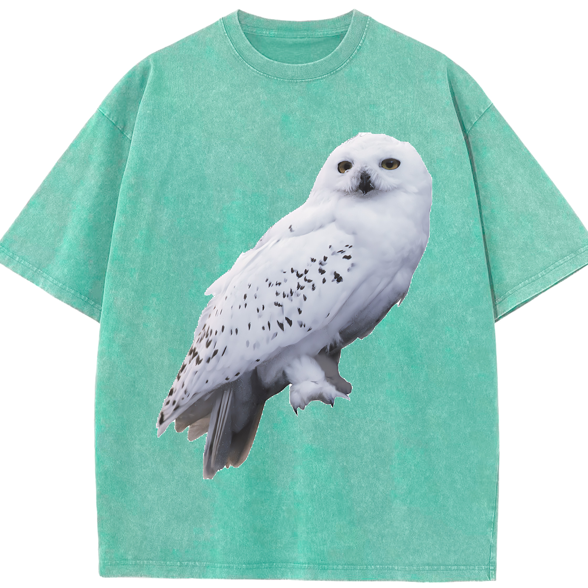 （画像用） Harry Potter ハリー・ポッターシリーズ 綿100% ヴィンテージ風 半袖Tシャツ（フロントプリント）